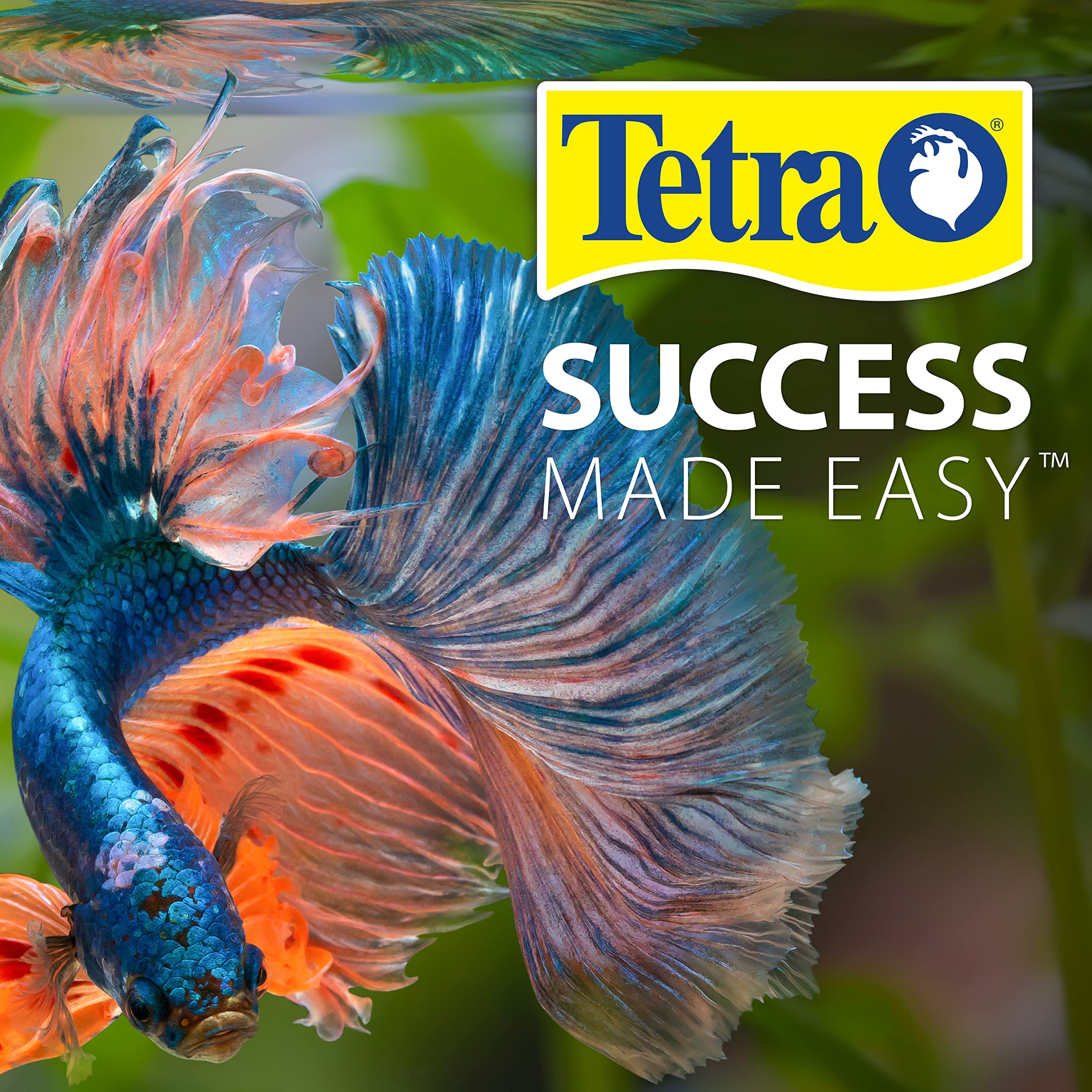 Tetra EasyStrips post-water change check for ongoing water quality