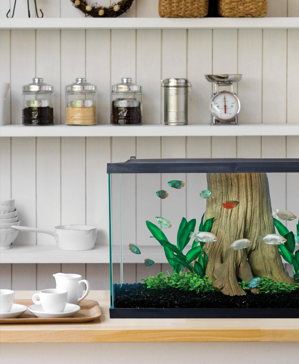 Tetra Glass Aquarium 29-gallon assembled setup ready for immediate enjoyment