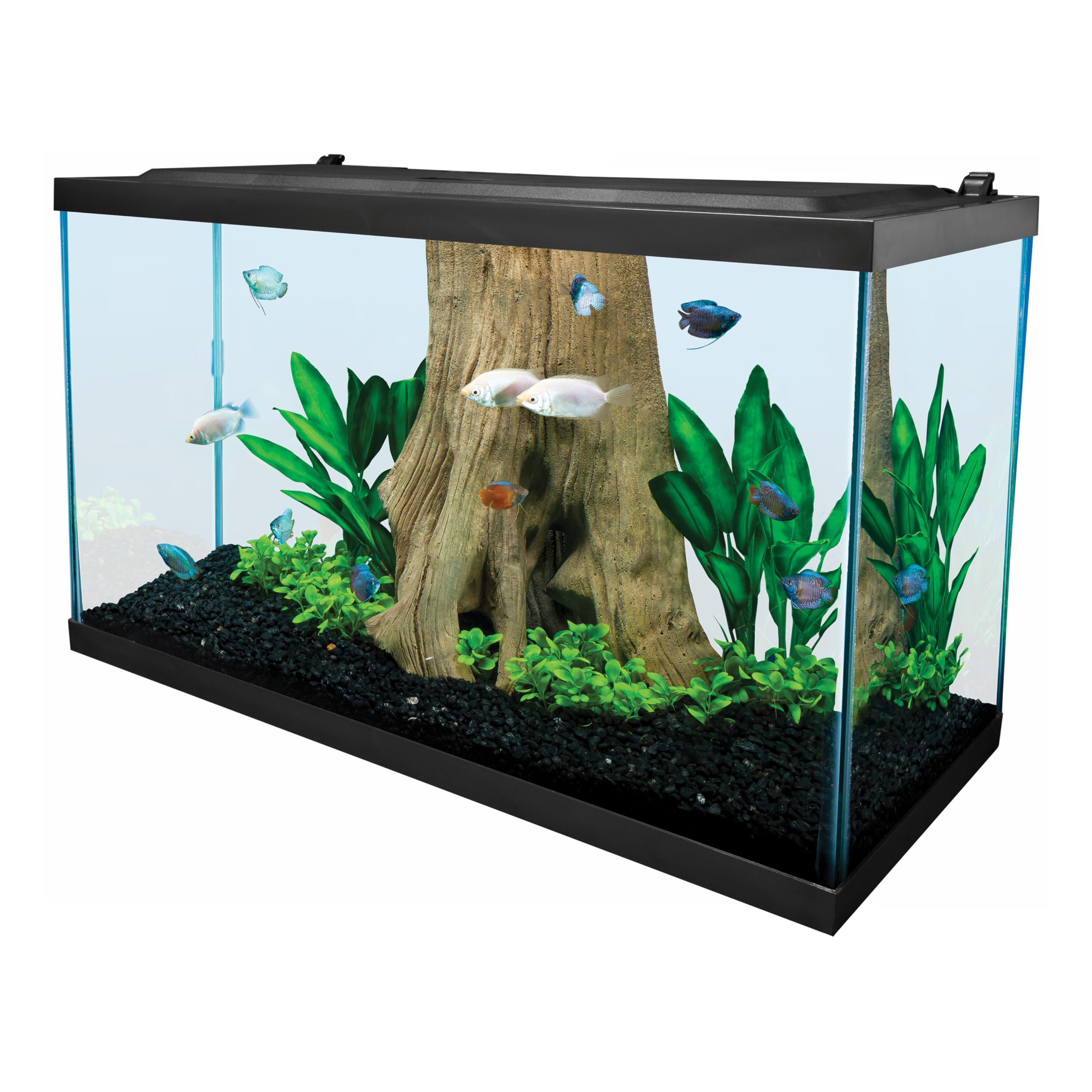 Tetra Glass Aquarium 29-gallon empty with base demonstrates sturdy starter setup