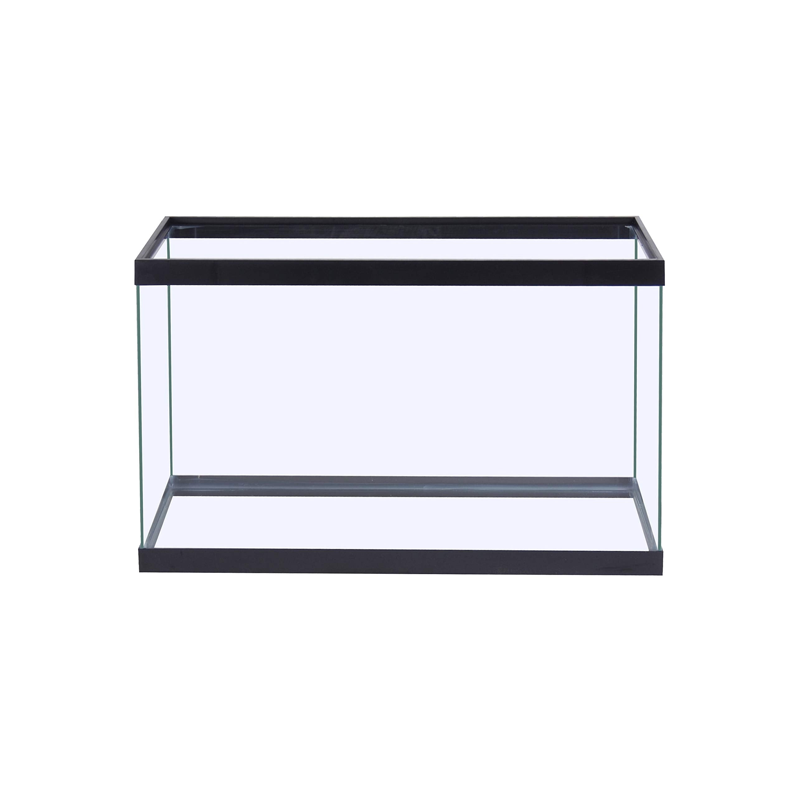 Tetra Glass Aquarium 29-gallon interior view offering unobstructed observation of inhabitants