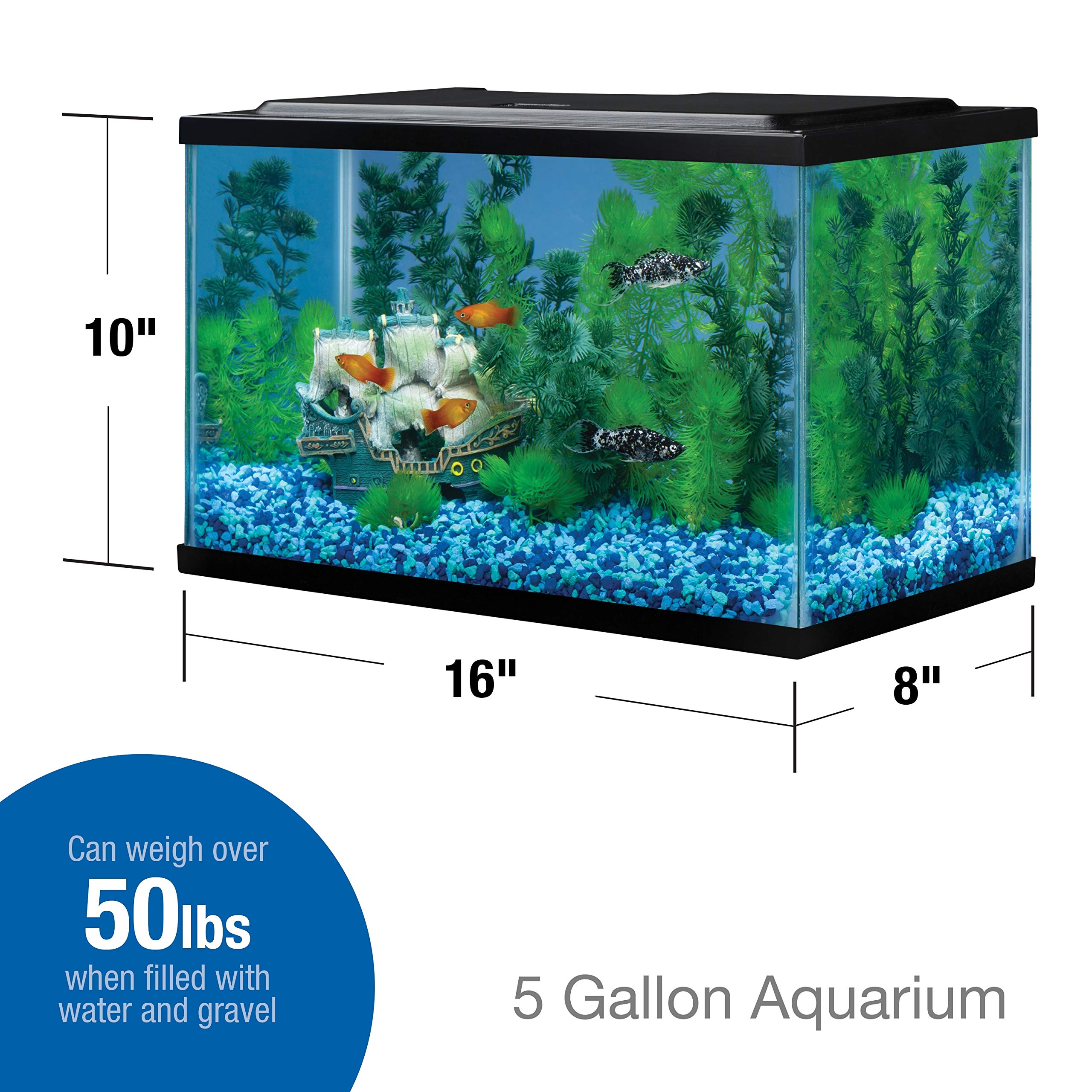 Tetra glass aquarium 5.5-gallon crisp glass panel, great for customization.