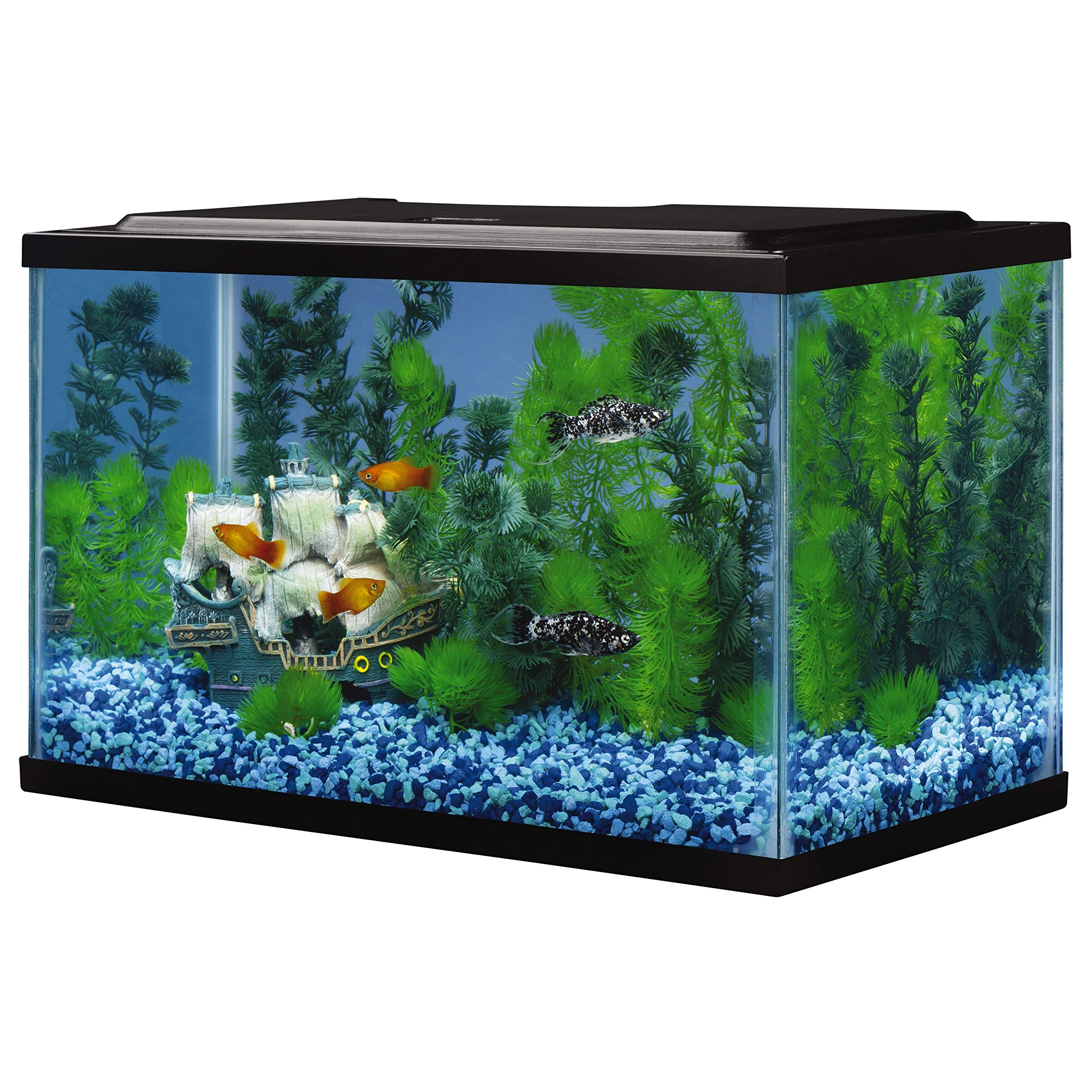 Tetra glass aquarium 5.5-gallon ready for filtration and lighting setup.