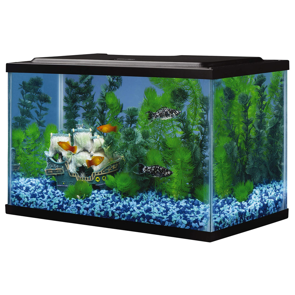 Tetra glass aquarium 5.5-gallon ready for filtration and lighting setup.