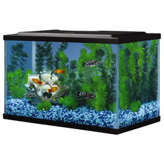 Tetra glass aquarium 5.5-gallon ready for filtration and lighting setup.