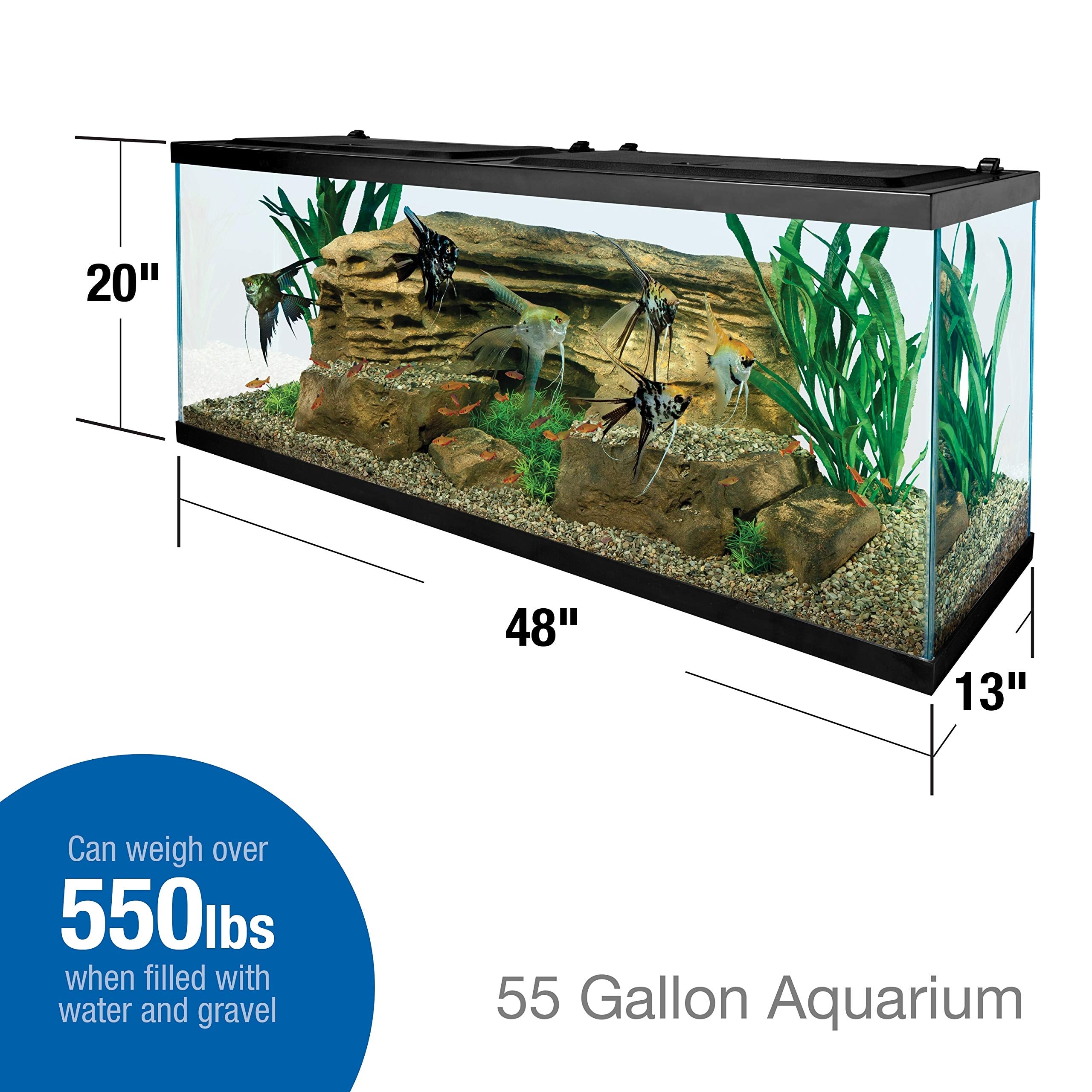 Tetra 55-gallon rectangle tank dimensions 48x13x20 inches for flexible placement.