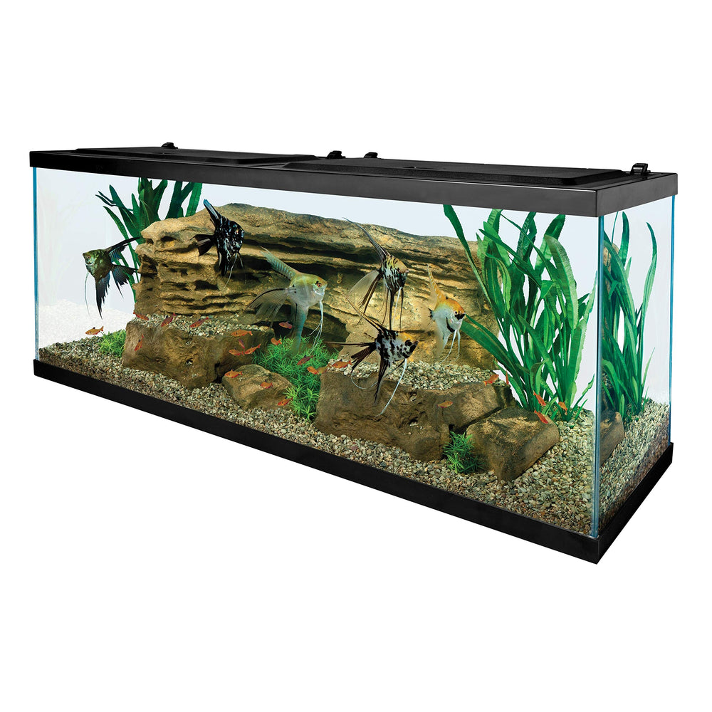Tetra 55-gallon rectangle interior with decor ready for customization.