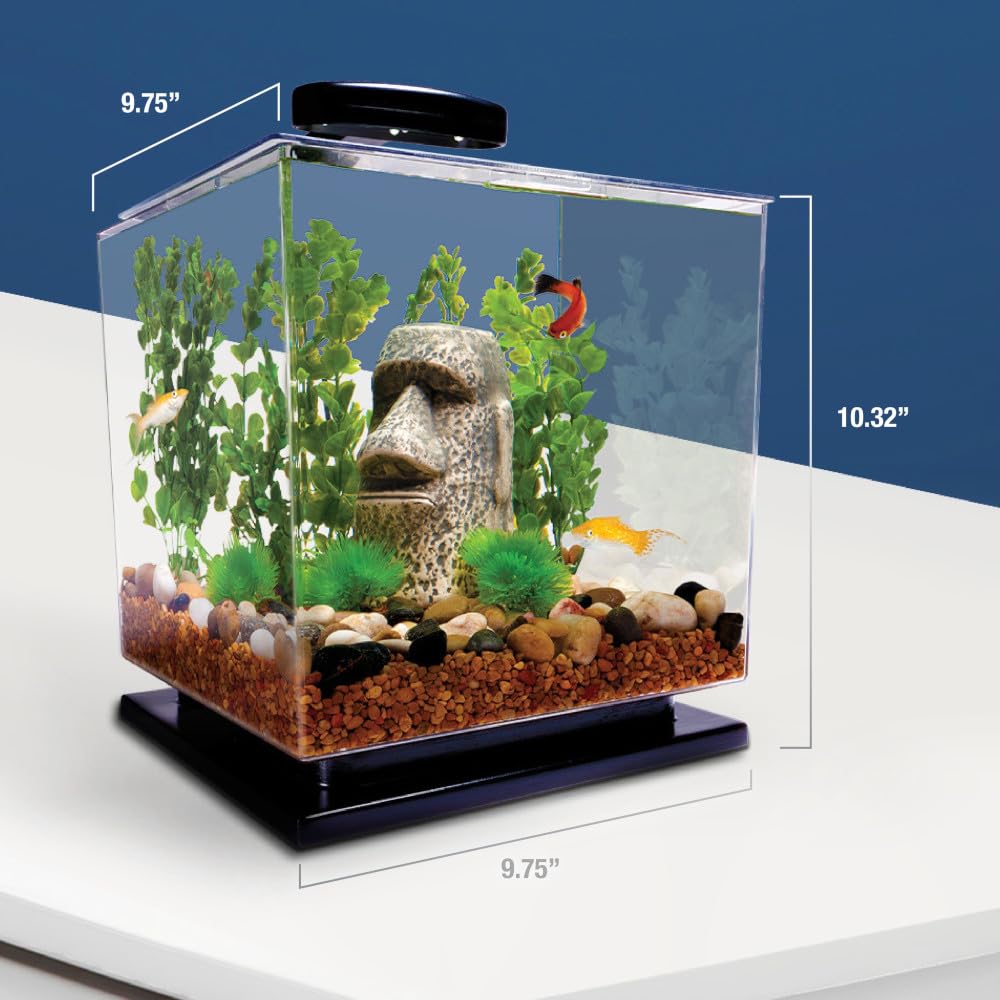 Tetra kit ideal for kitchens, dorms, or offices with quick setup