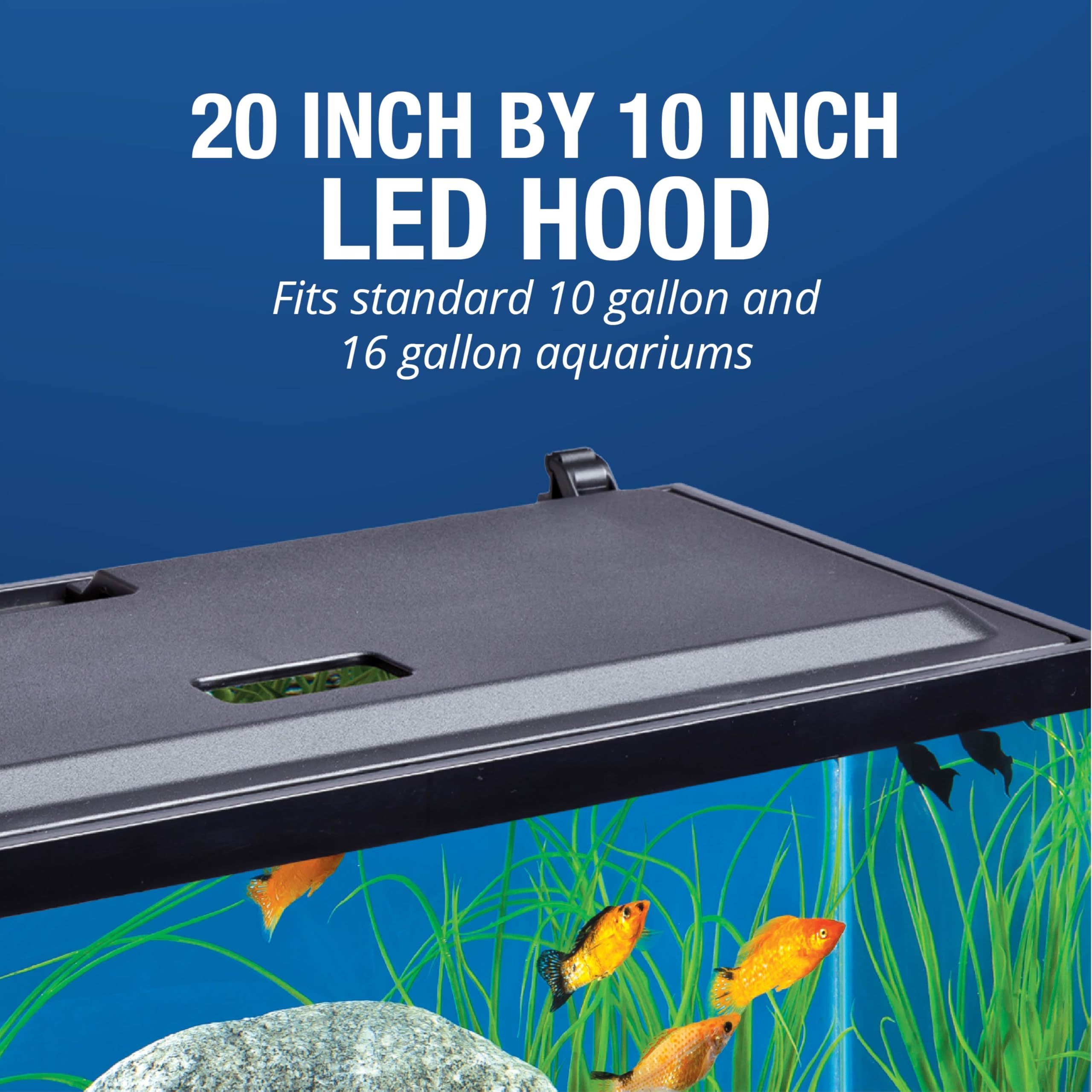 Tetra LED Hood 20x10 back cutouts enable versatile filter setup.