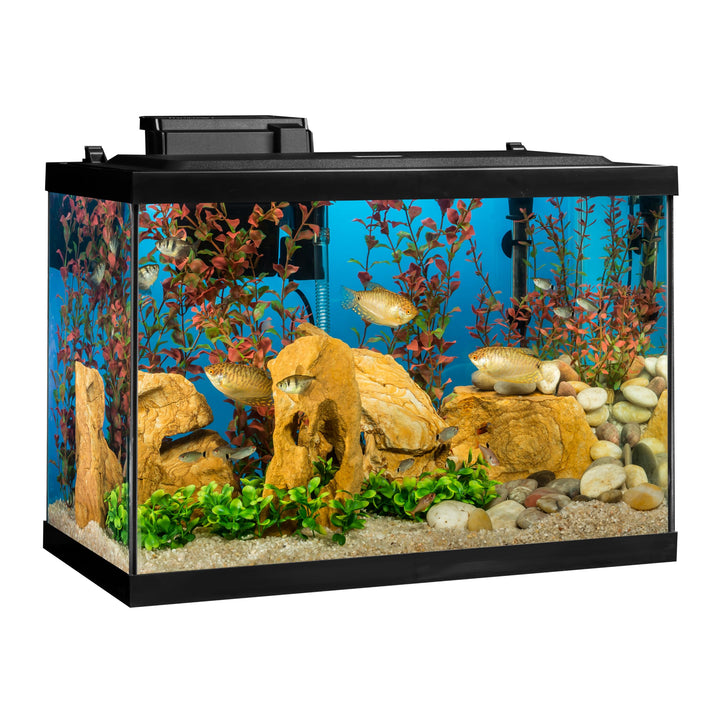 Tetra LED hood lighting showcasing natural daylight glow for the tank.