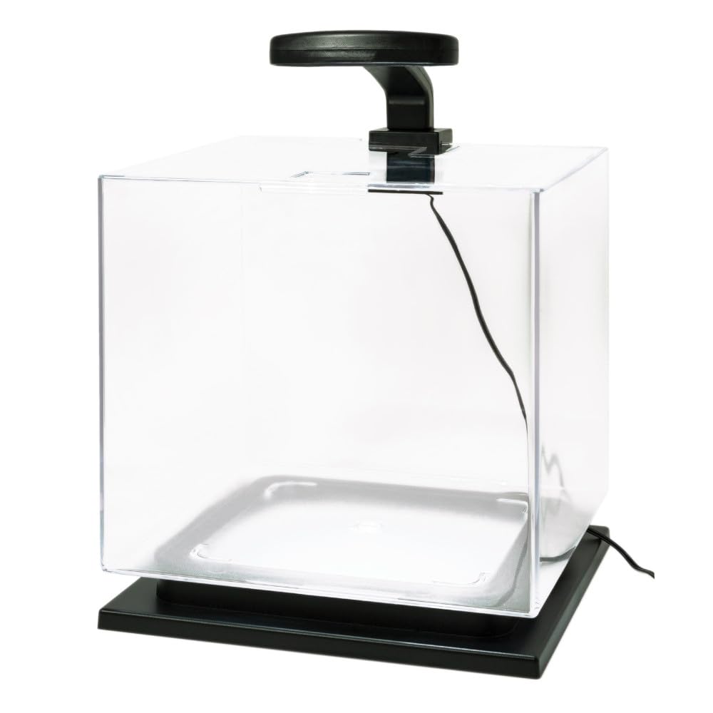 Tetra LED light highlighting fish colors in the kit