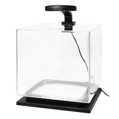 Tetra LED light highlighting fish colors in the kit