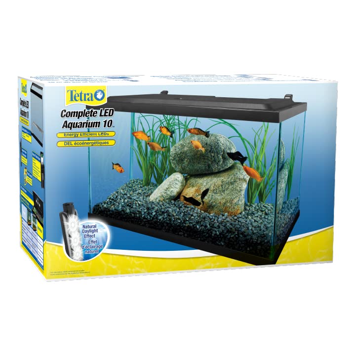 Tetra Min fish food sample supports beginner feeding trials.