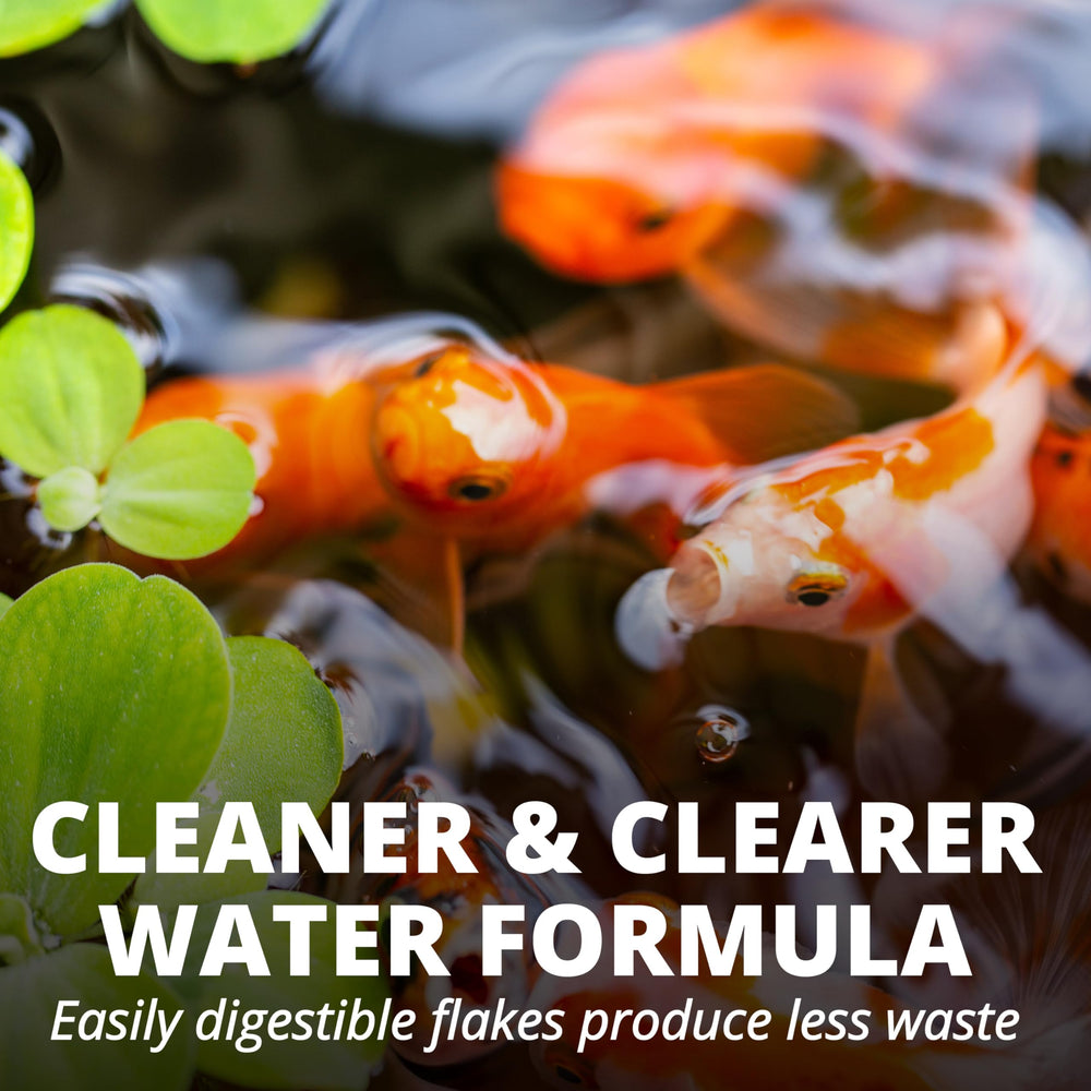 Tetra Pond Flakes easy-digest formula reduces waste for cleaner water.