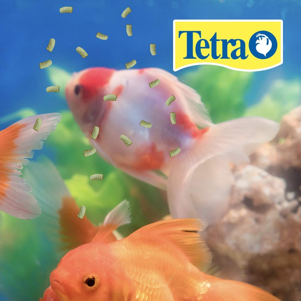 Tetra Pond Sticks being served to goldfish and koi with easy digestion.