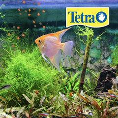 TetraPro Tropical Crisps inner algae meal for concentrated color and nutrition.