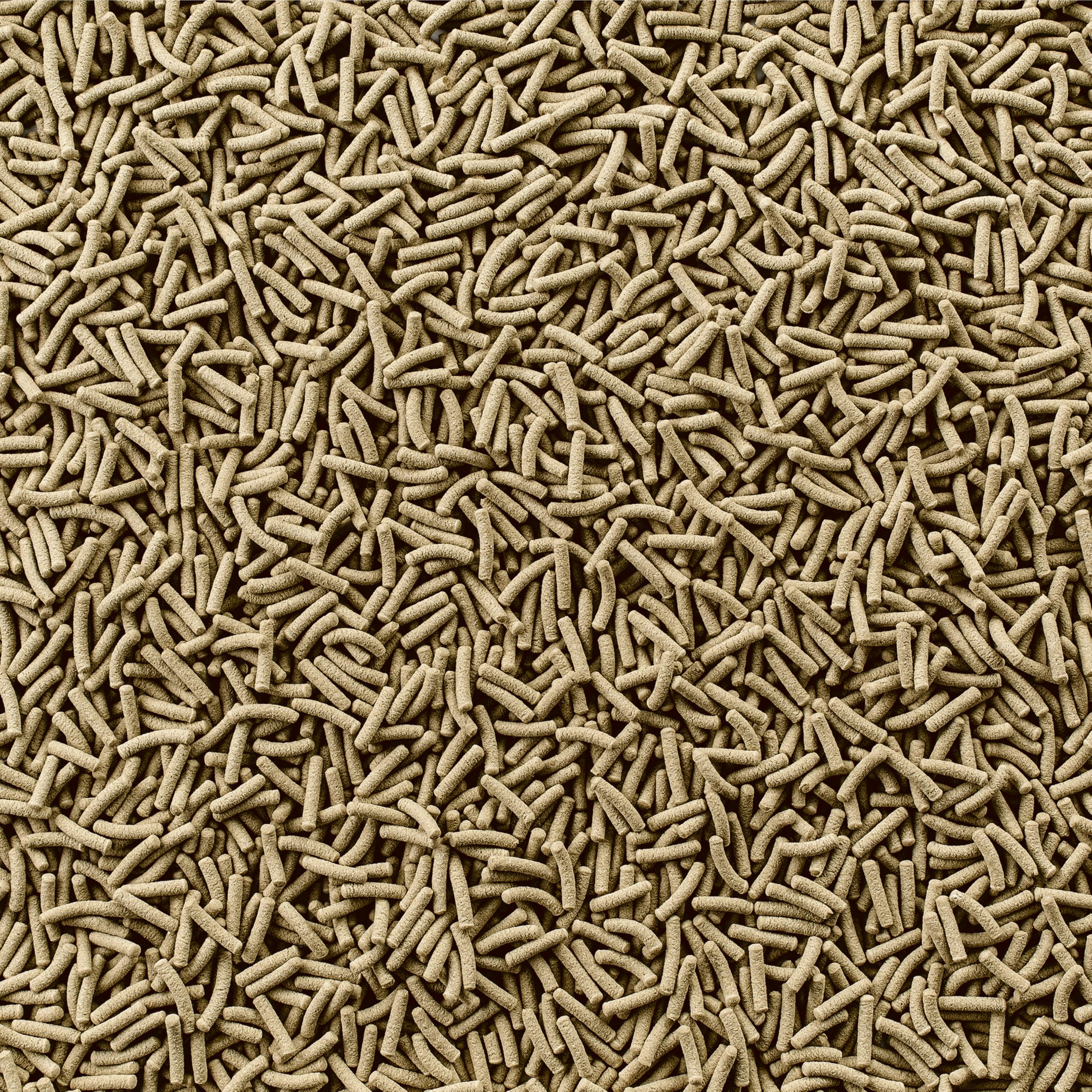 Tetra ReptoMin sticks shown in turtle bowl supporting vitality and growth.