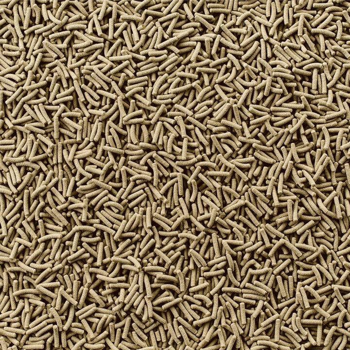 Tetra ReptoMin sticks shown in turtle bowl supporting vitality and growth.