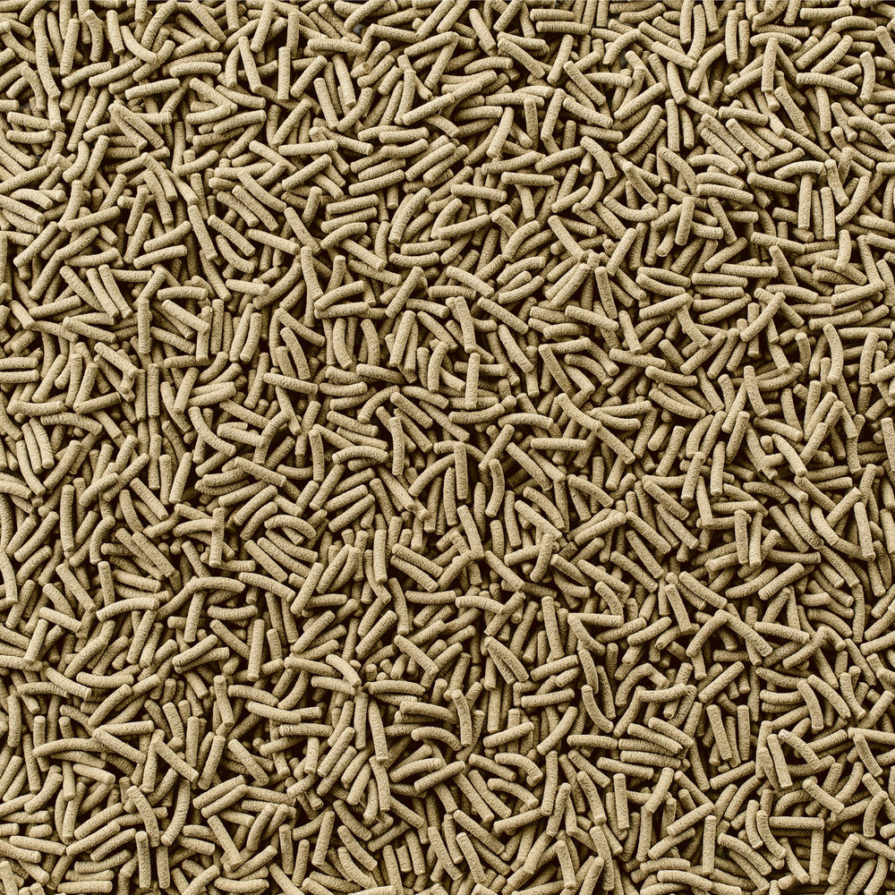 Tetra ReptoMin sticks shown in turtle bowl supporting vitality and growth.