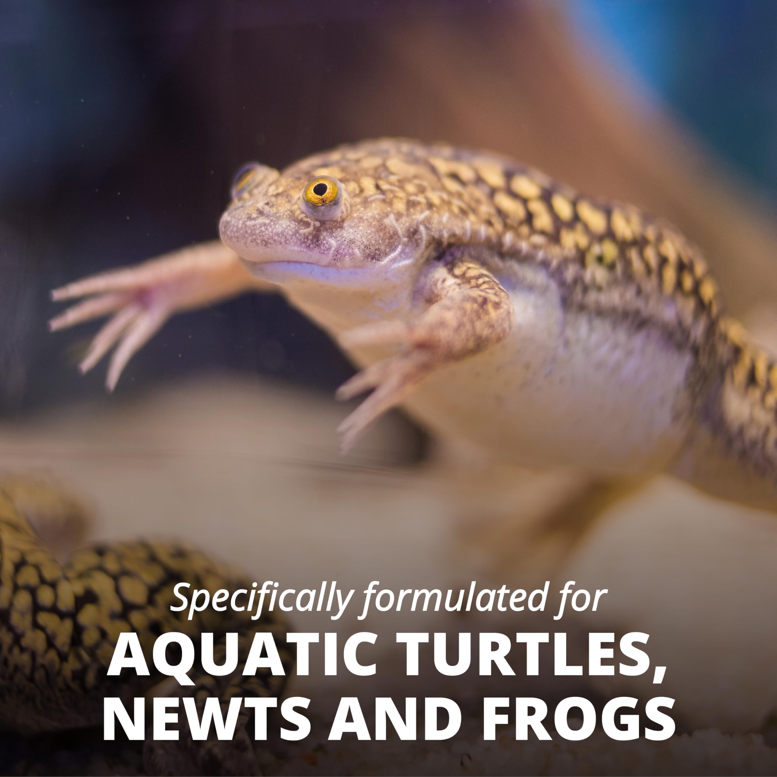Buoyant ReptoMin sticks with soft texture ideal for surface meals.