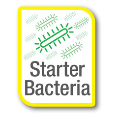 Tetra SafeStart Plus seeds biofilter quickly after setup.