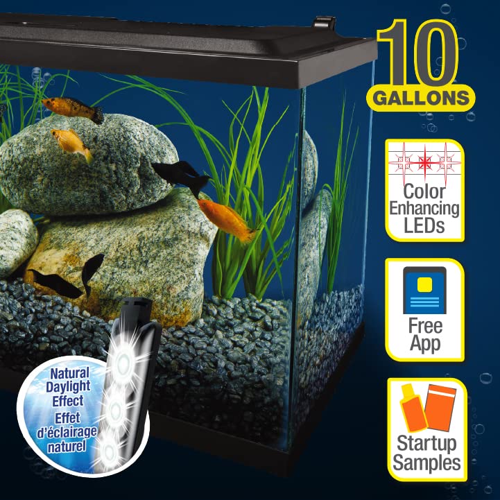 Tetra setup and maintenance guide for easy start and ongoing care.