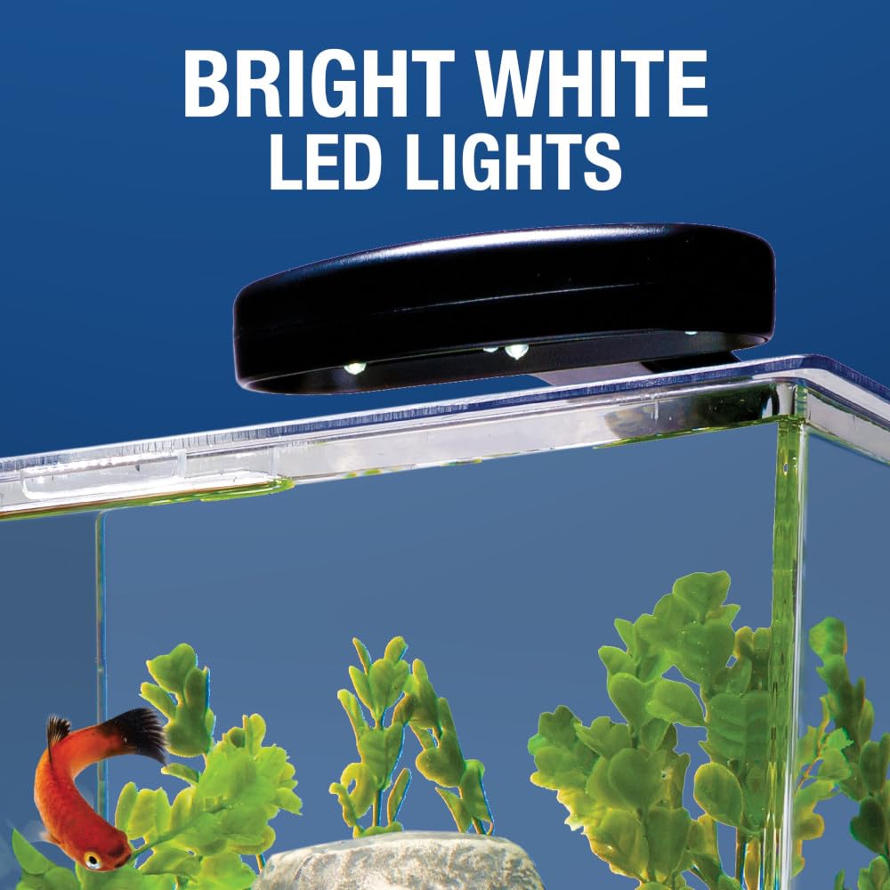 Tetra kit suitable for small tropical fish like guppies and bettas