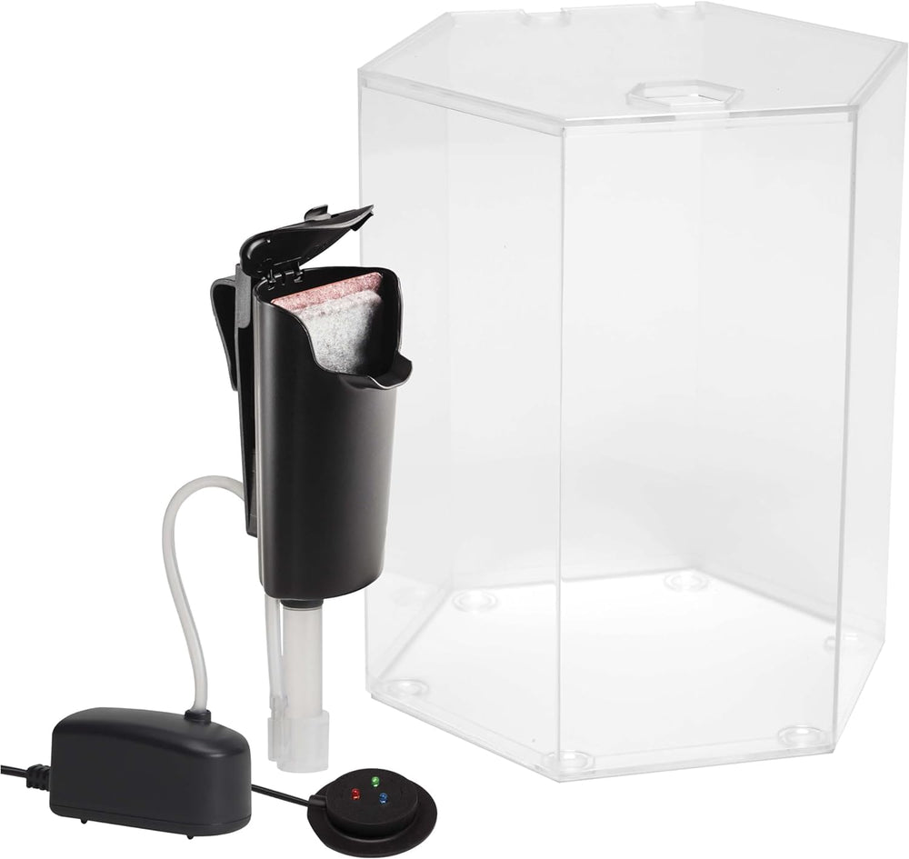 The Tetra Whisper Internal Power Filter keeps the water clean.