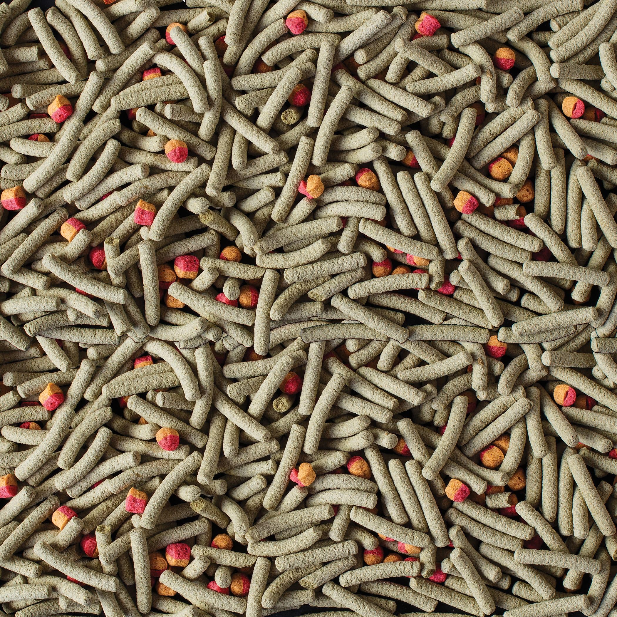 TetraFauna Pro ReptoMin Pro Sticks are designed for daily feeding in small portions.