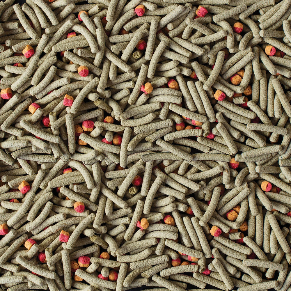 TetraFauna Pro ReptoMin Pro Sticks are designed for daily feeding in small portions.