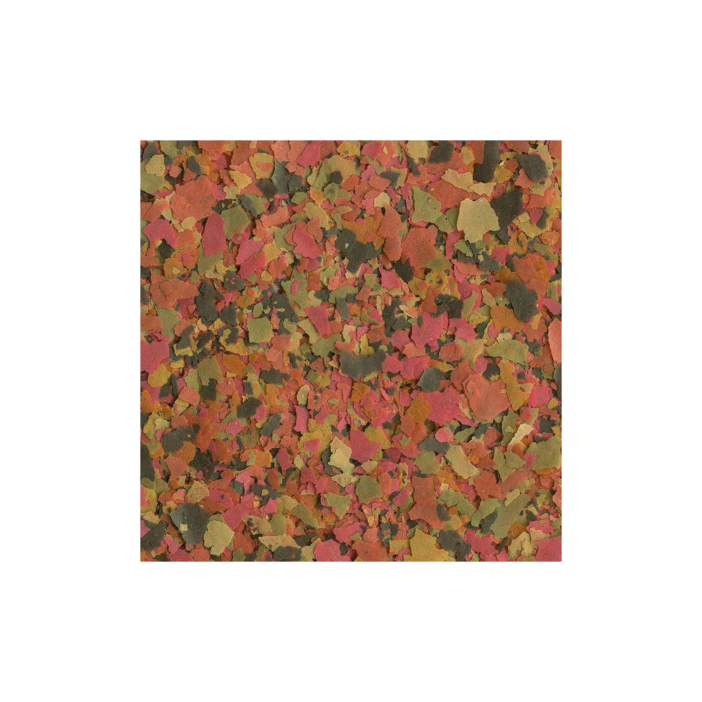 TetraMin Plus Tropical Flakes food-dish display showing color-boost for tropical fish.