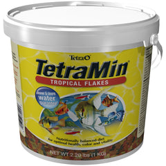 Tetramin tropical flakes package ready for feeding, promoting vibrant tropical fish health.