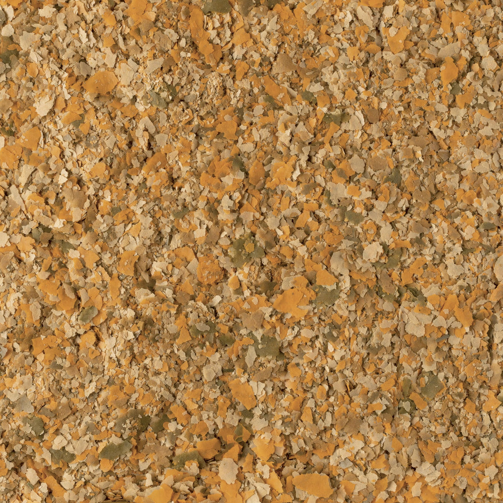 Water clarity emphasis suggesting reduced waste with proper feeding