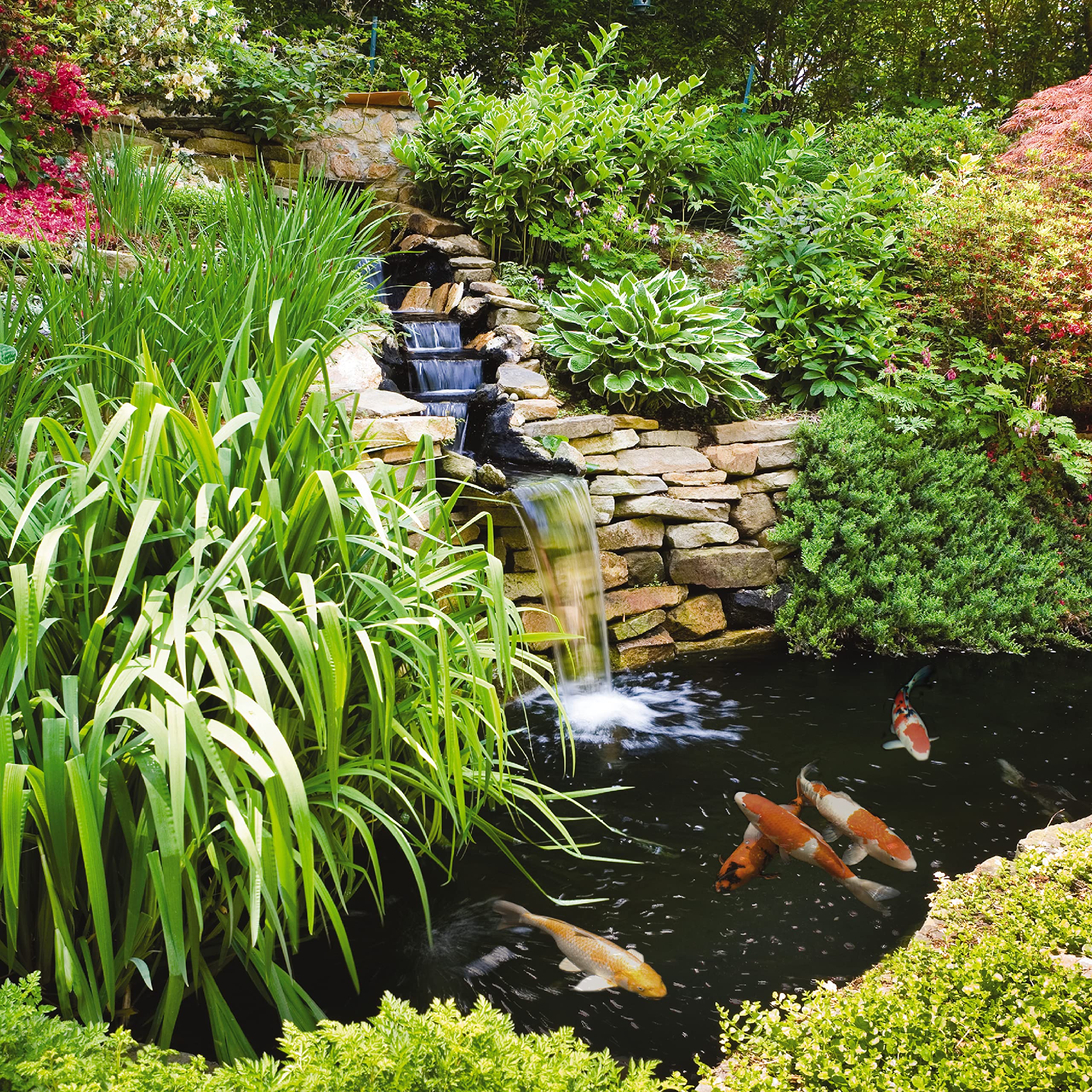 TetraPond AlgaeControl used in a pond with plants and fish, safe