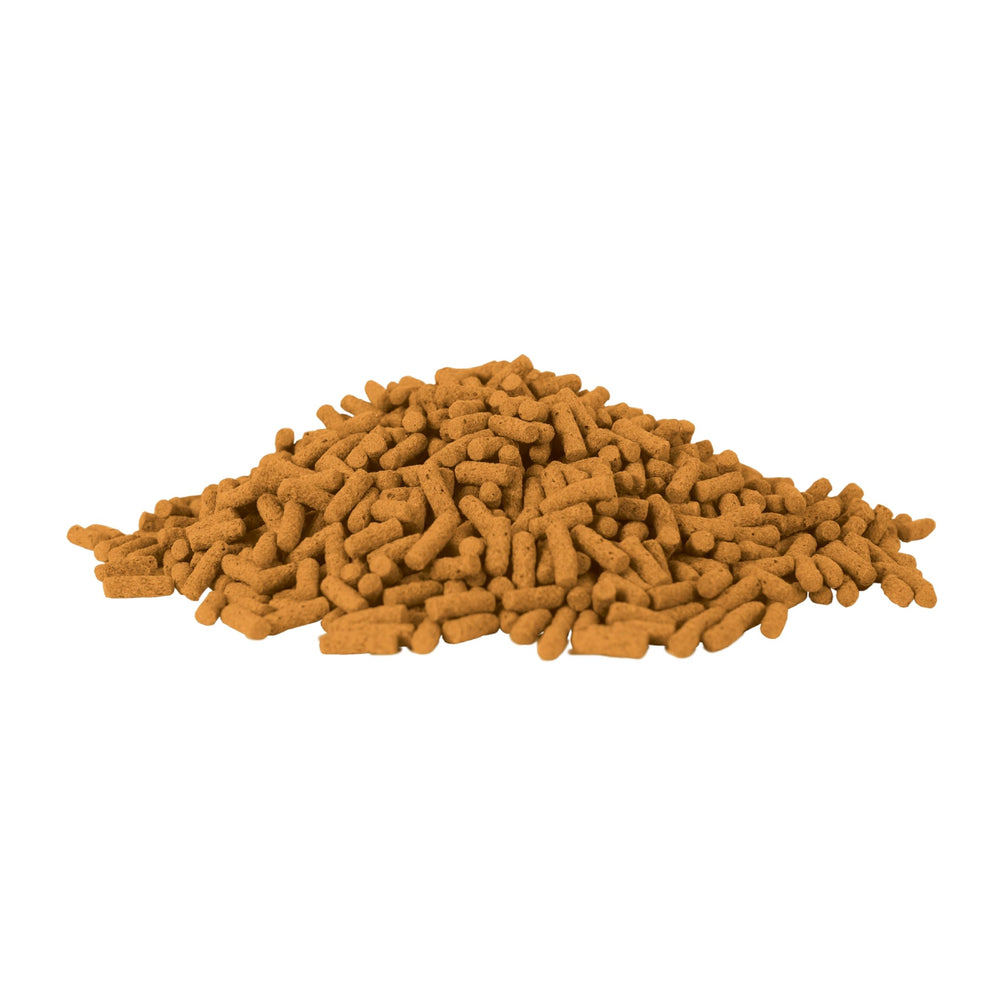 TetraPond Koi Vibrance color-boost-koi highlights enhanced red and yellow hues.