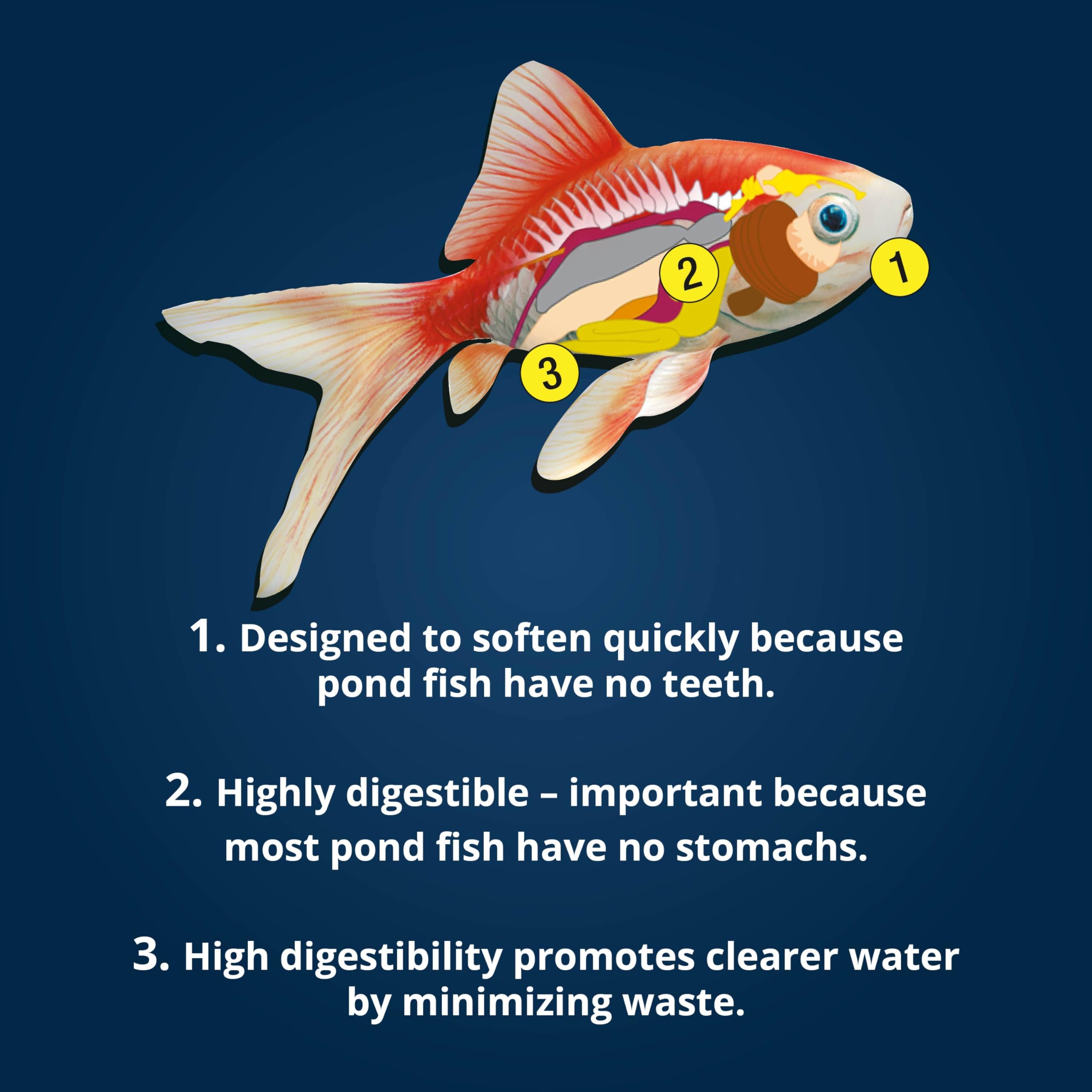 TetraPond Koi Vibrance soft sticks seasonal feeding in spring and fall.