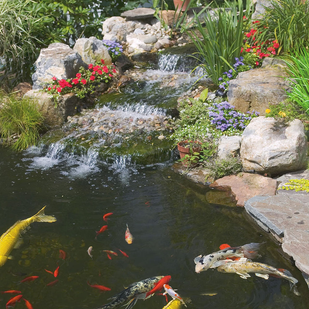 TetraPond Koi Vibrance spring/fall feeding guide for when temperatures rise.
