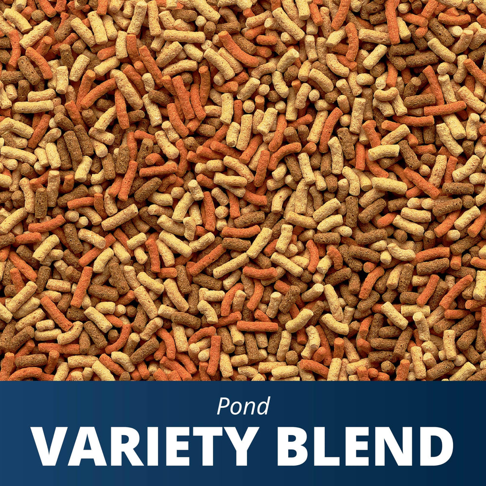 TetraPond Variety Blend koi vibrance promotes vivid colors during pond feeding
