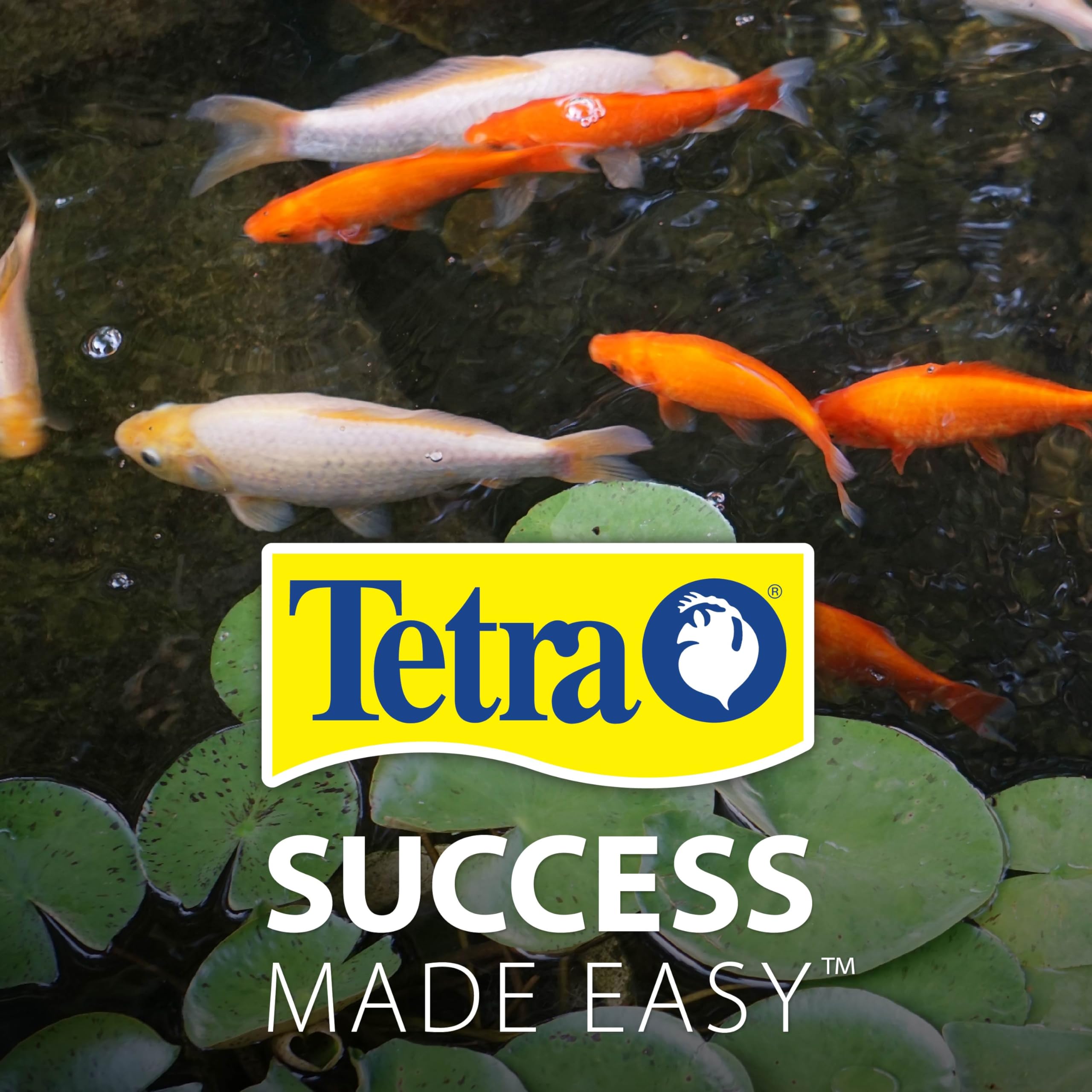 TetraPond Variety Blend water friendly diet minimizes waste