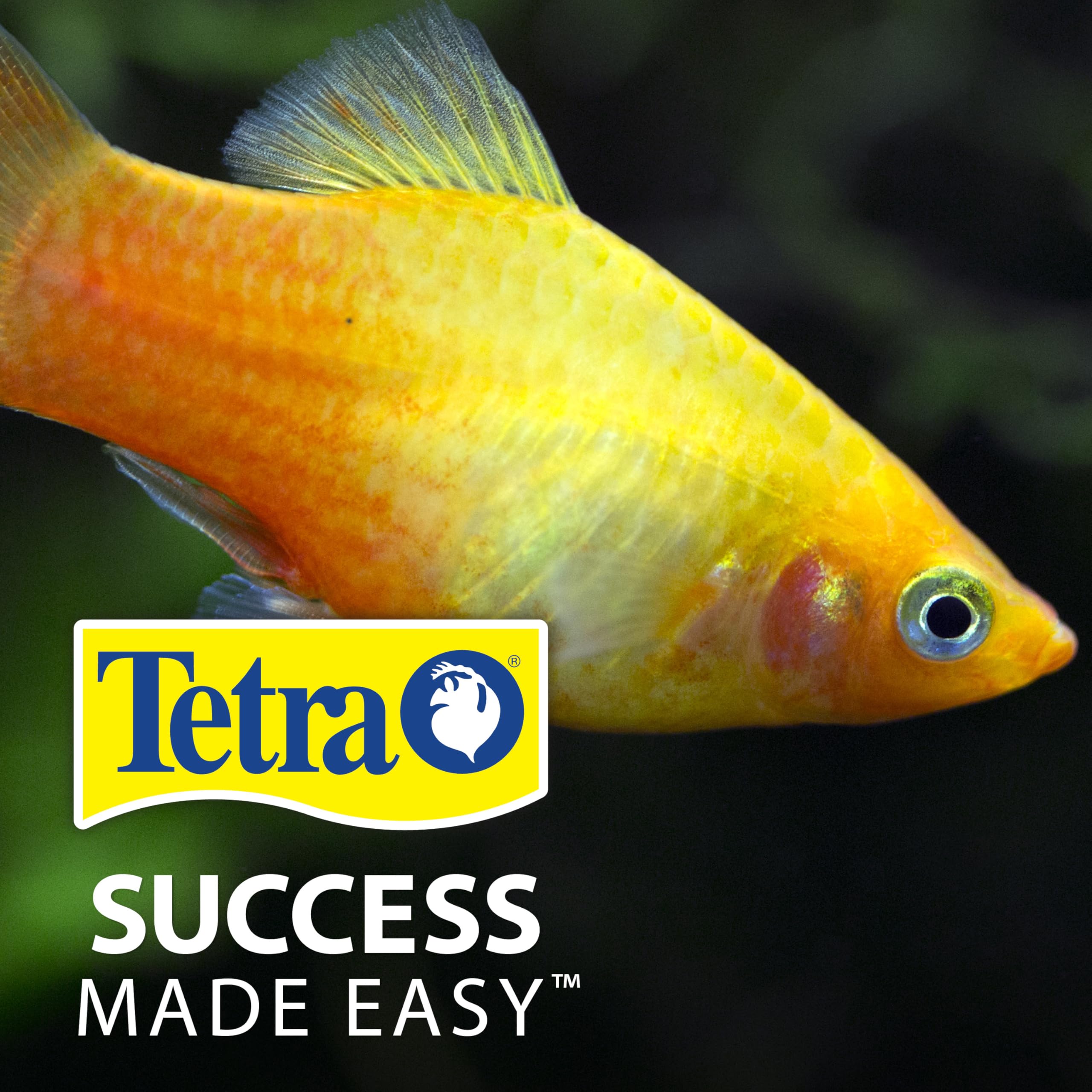 TetraPro Crisps in aquarium demonstrate easy, controlled feeding for tropical species.