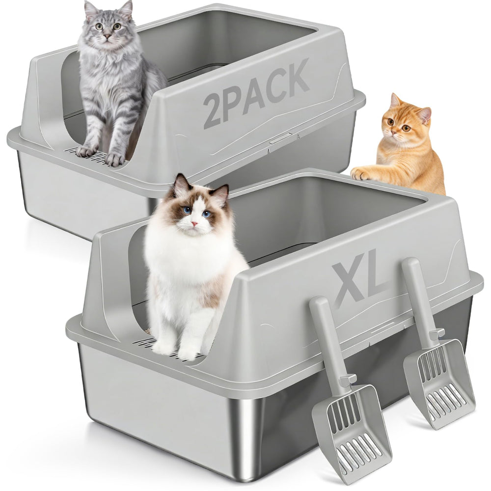 Tevila XL litter box front view shows spacious interior for large cats.