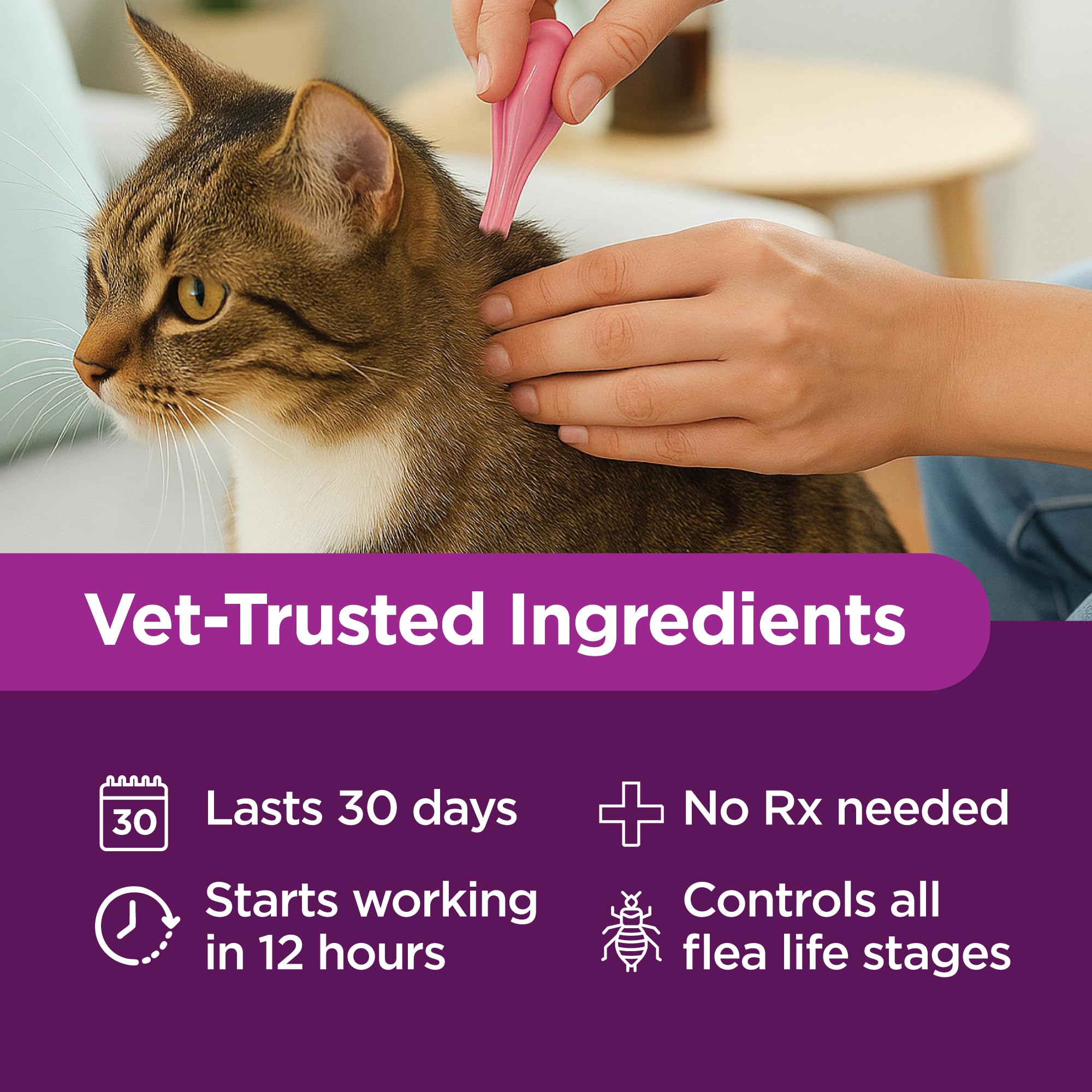 TevraPet Actispot II applied to a cat’s neck for easy administration.