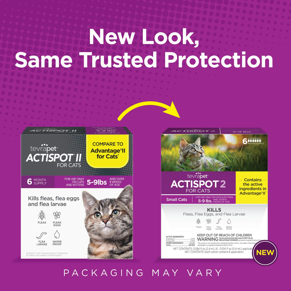 Happy cat after using TevraPet Actispot II for flea protection.