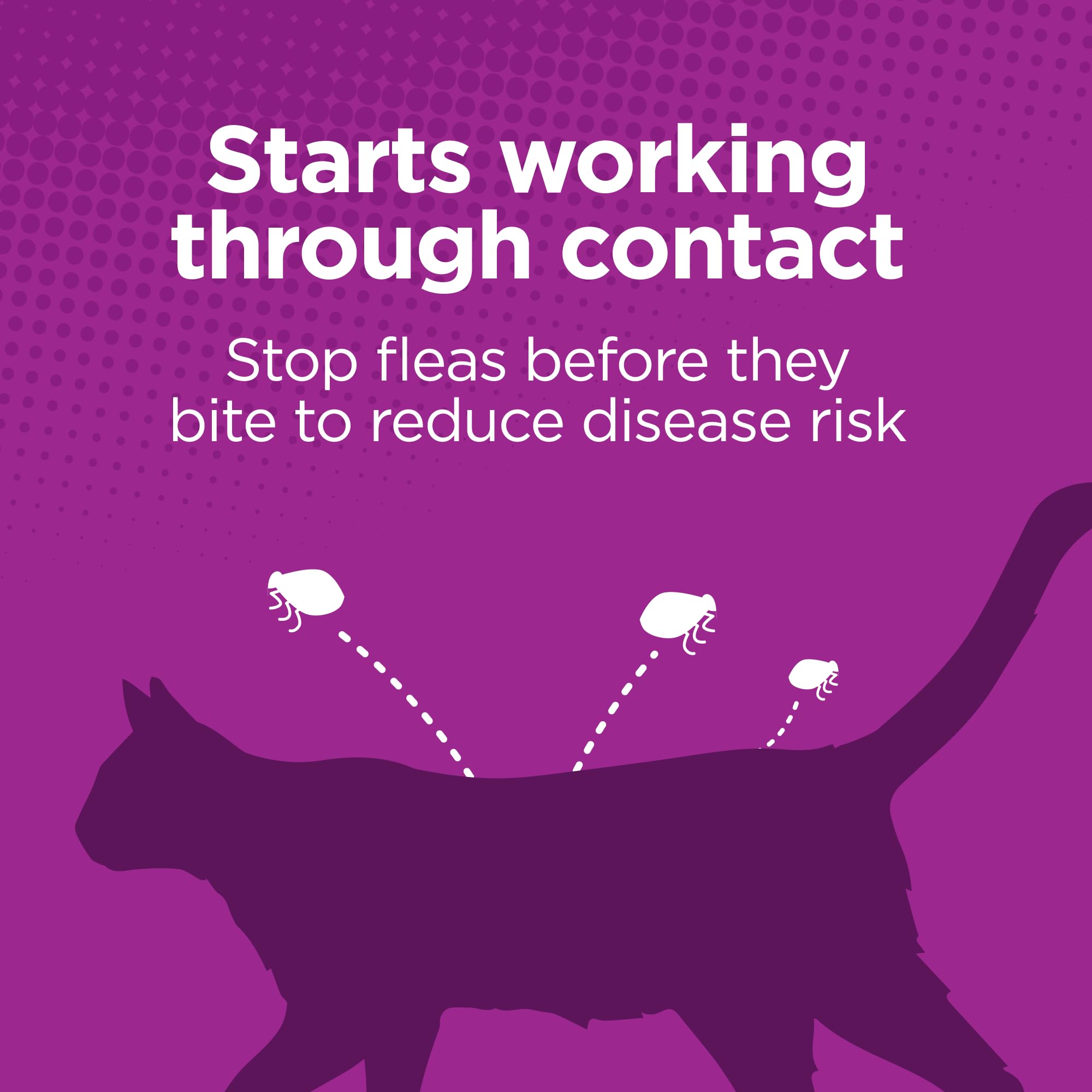 TevraPet Actispot II kills fleas, eggs, and larvae to curb reinfestation.