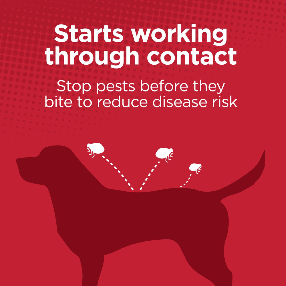 TevraPet Activate II four-month treatment for large dogs' protection.