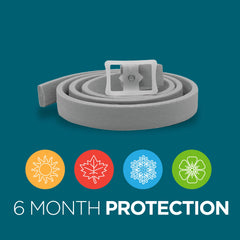 Dog outdoors with TevraPet Activate II collar offering pest protection
