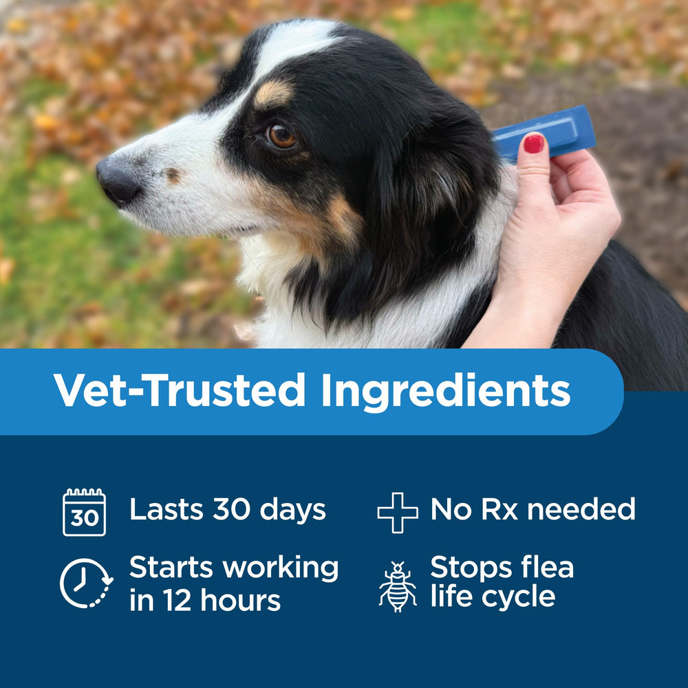 TevraPet Activate II blocks flea eggs and larvae within hours after use.