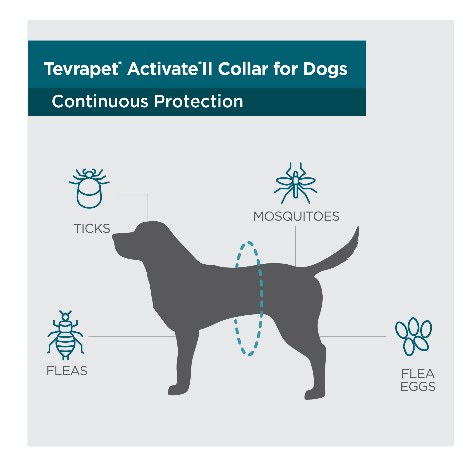 TevraPet Activate II packaging highlighting 6-month protection