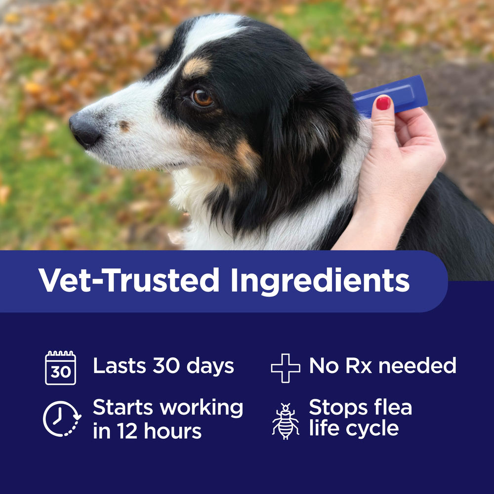 TevraPet Activate II tick-control-closeup demonstrates preventive action against ticks