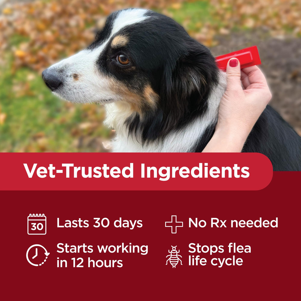 TevraPet Activate II is veterinarian-approved for canine flea and tick care.