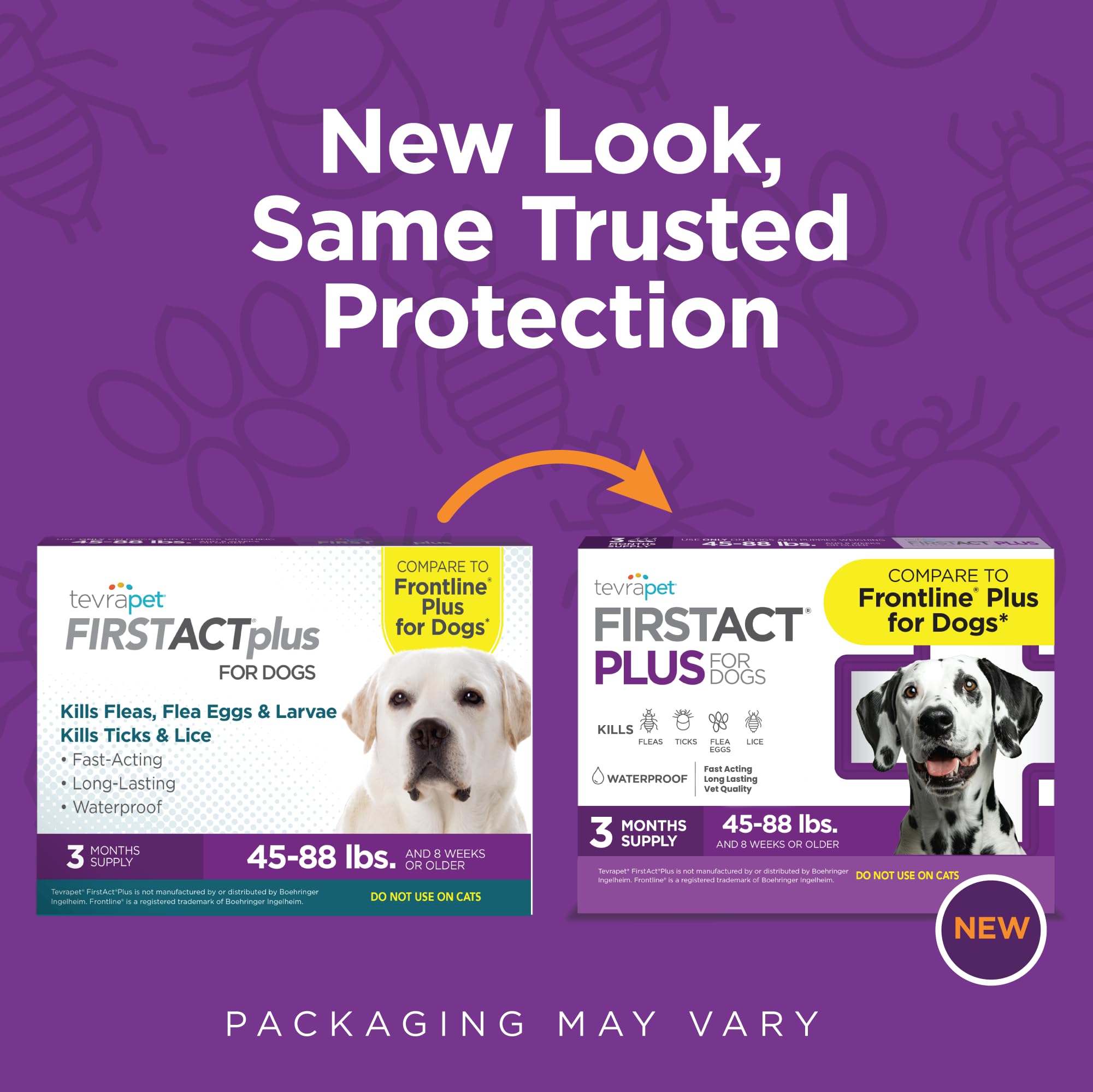 Close-up of TevraPet FirstAct Plus applicator ready for quick use.